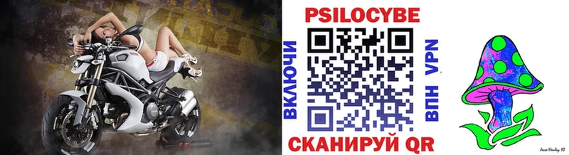 Купить закладки  Козьмодемьянск  Галлюциногенные грибы мухоморы 