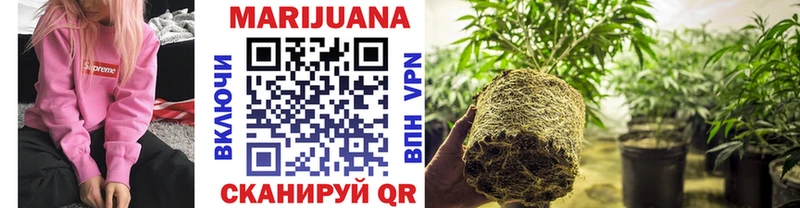 Бошки Шишки SATIVA & INDICA  Купить  Козьмодемьянск 